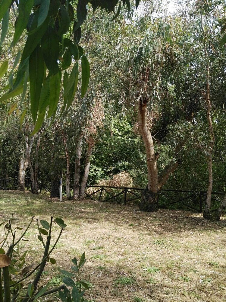 Agroturismo Agriturismo La Petrosa