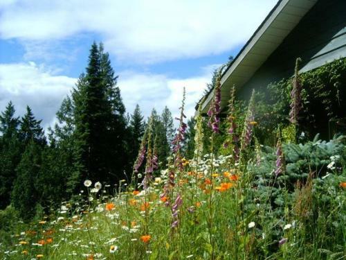 Cottage Of Tranquility