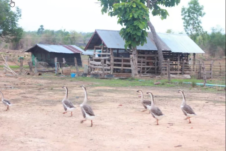 Hotel The Goose Farm Stay & Cafe