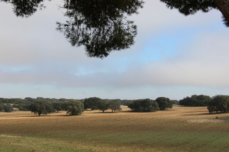 Agroturismo Casa Rural Monteguerra
