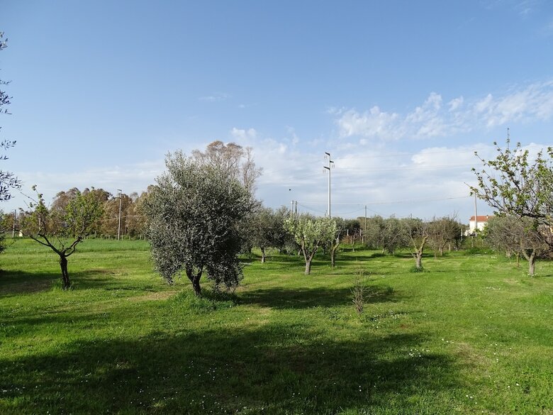 Agroturismo Agriturismo Podere 1248