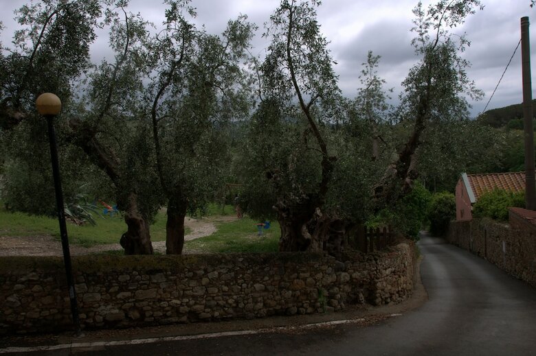 Villa Il Poggetto