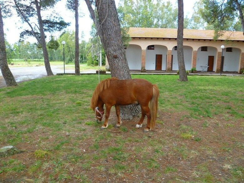 Agroturismo Agriturismo Agrifoglio