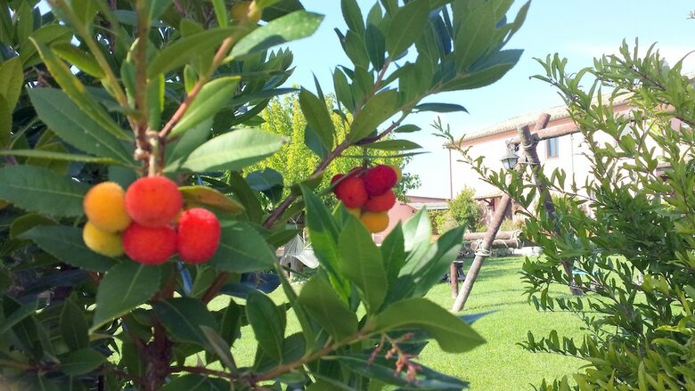 Agroturismo Airone Country House