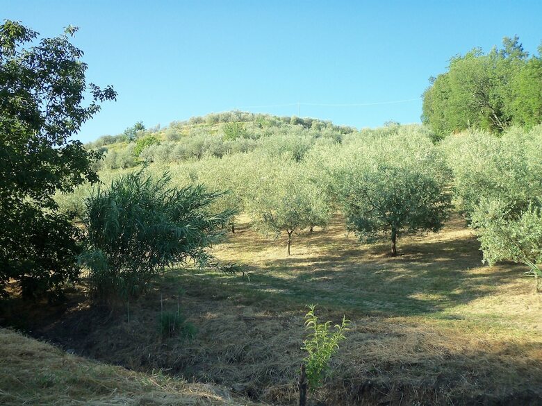 Agroturismo Agriturismo Il Colle