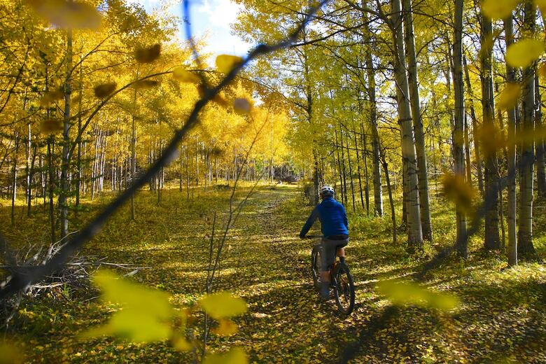 Meadow Lake Guest Ranch