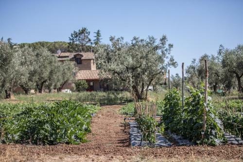 Agroturismo Traldi Resort