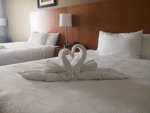 Hotel Quality Inn & Suites Hawkesbury
