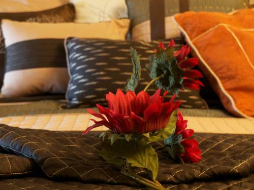Apartamentos Ypc Fitness & Accomodations