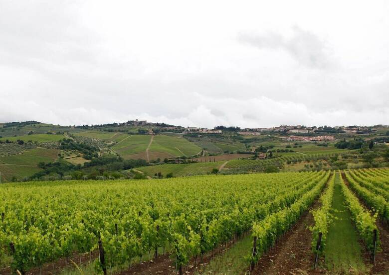 Agroturismo Podere Il Poggiolo
