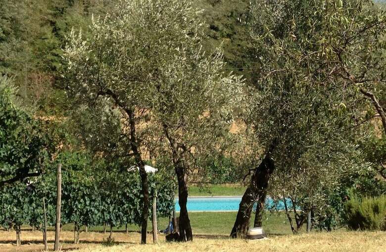 Agroturismo Podere Il Poggiolo