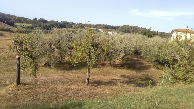 Agroturismo Agriturismo I Greppioli