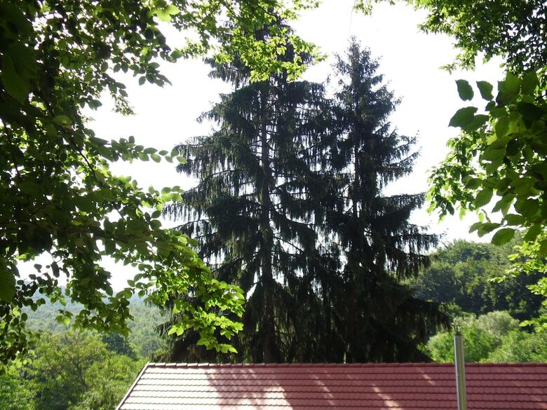 Hotel V�r�s-cser Vend�gh�z