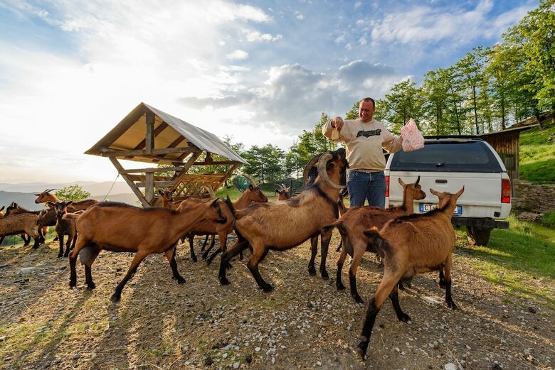 Agroturismo Agriturismo Casa Passerini A Firenze