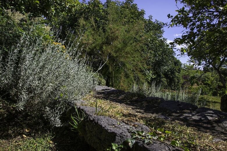 Agroturismo Tenuta Santa Tecla