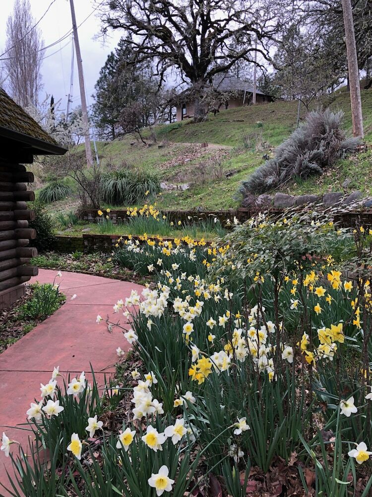 Apartamento Heartwood Mountain Sanctuary