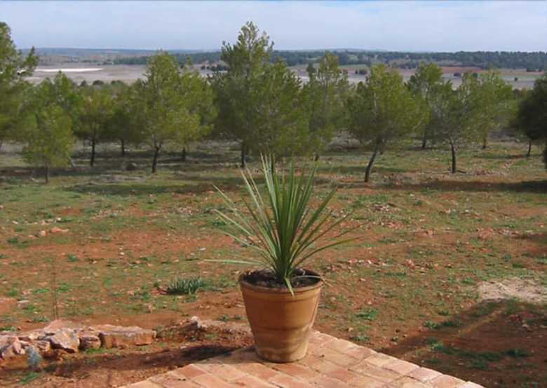 Agroturismo El Romeral de La Laguna