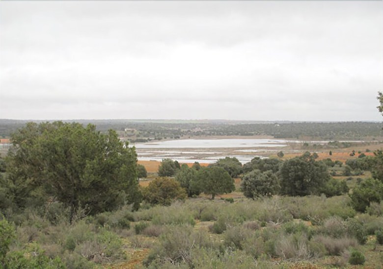 Agroturismo El Romeral de La Laguna