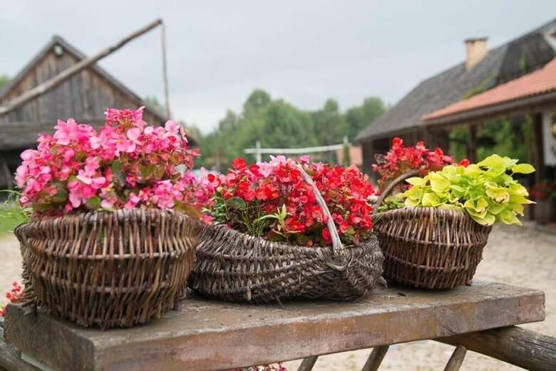 Bed & Breakfast Go?ciniec Folwark Nadawki