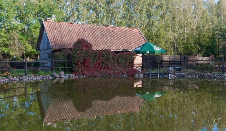 Bed & Breakfast Go?ciniec Folwark Nadawki
