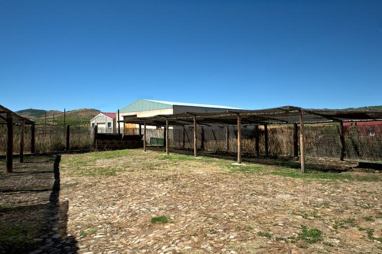 Agroturismo Entrefrutales Casa Rural