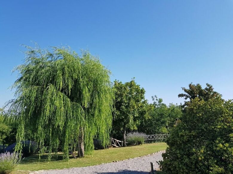 Agroturismo Agriturismo Le Casaline