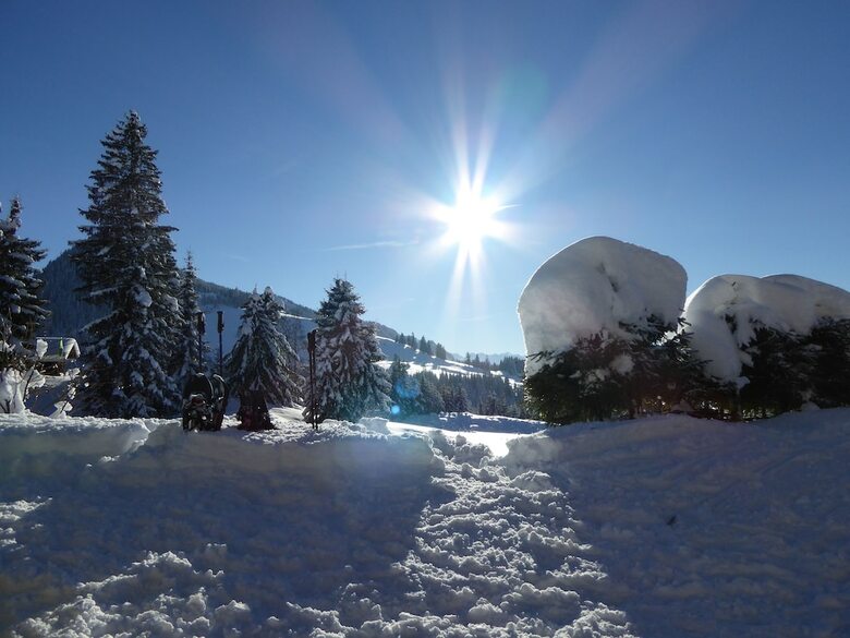 Hotel Berggasthof Sonne Imberg