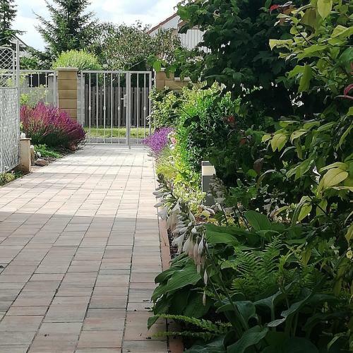 Apartamento U V�clava