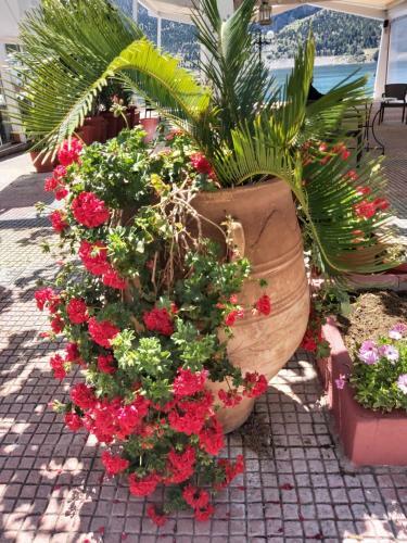 Porto Arimar Hotel