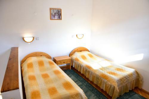 Hotel Vihren