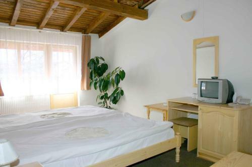 Family Hotel Bisser