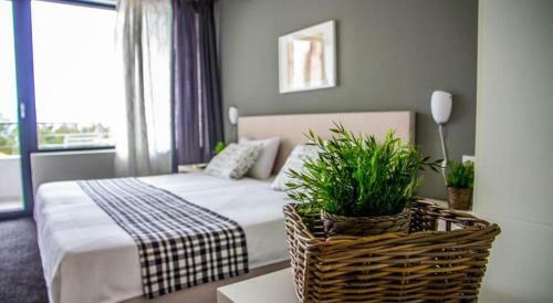 Hostal Friends Villa