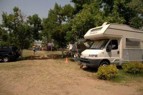 Camping Goldfish
