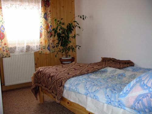 Apartamenty- Mieszkania Wakacyjne