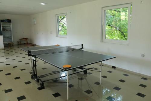 Apartmani "roshu"