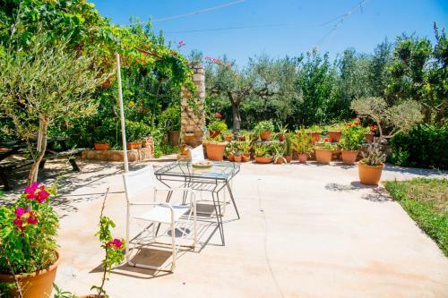 Apartamento Traditional House In A Natural Oasis