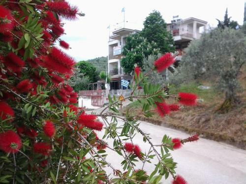 Apartamento Theoxenia