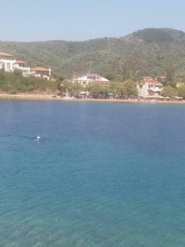 Apartamento Theoxenia