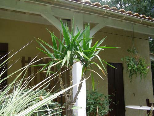 Bed & Breakfast Le Bord De L'eau