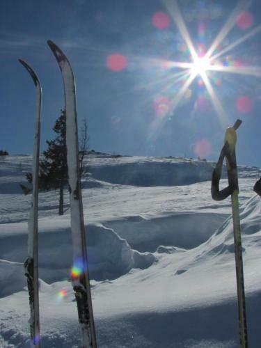 Hotel Guriset H�yfjellshotell