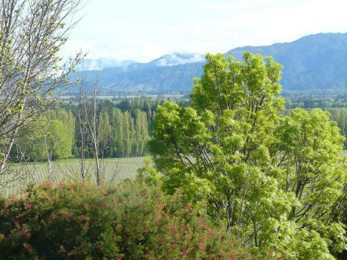 Bed & Breakfast Omaka Heights Countrystay