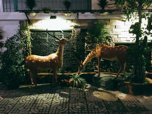 Hotel Khuong Loan Guesthouse