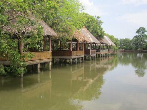 Ut Thuy Homestay