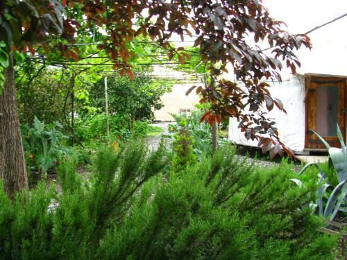 Hostal Guest House On Nazadze 41a