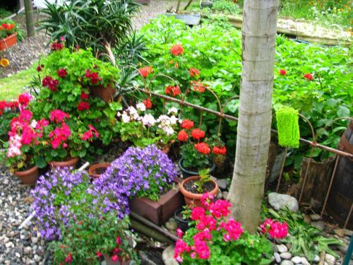 Hostal Guest House On Nazadze 41a