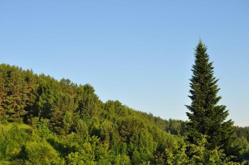 Hostal Guest House Yablonevyy Tsvet