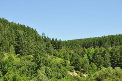 Hostal Guest House Yablonevyy Tsvet