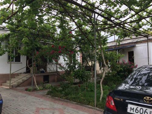 Hostal Guest House Pegas