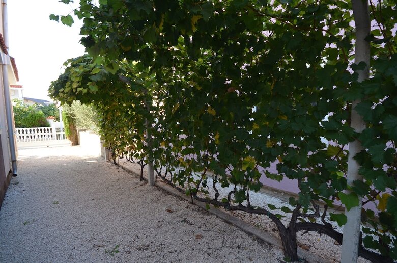 Apartments Palcic