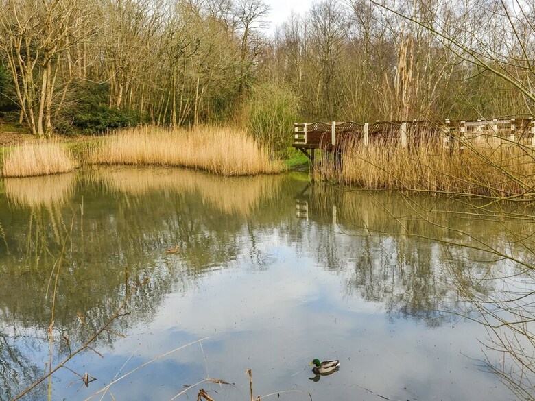 Enticing Home In Hastings Near Castle